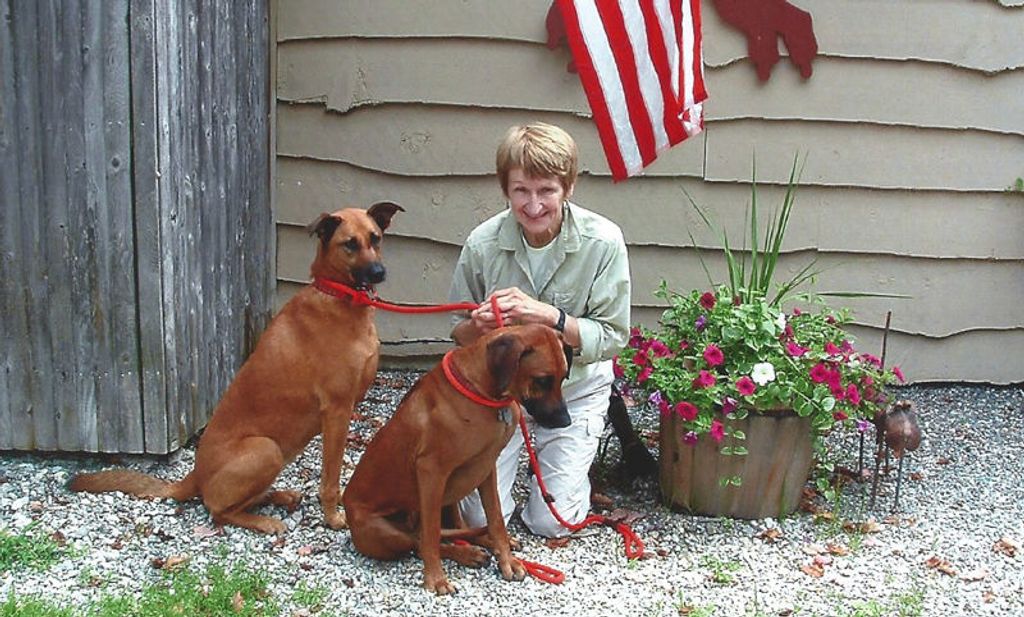 Nancy K. (Fitch) Fox Profile Photo