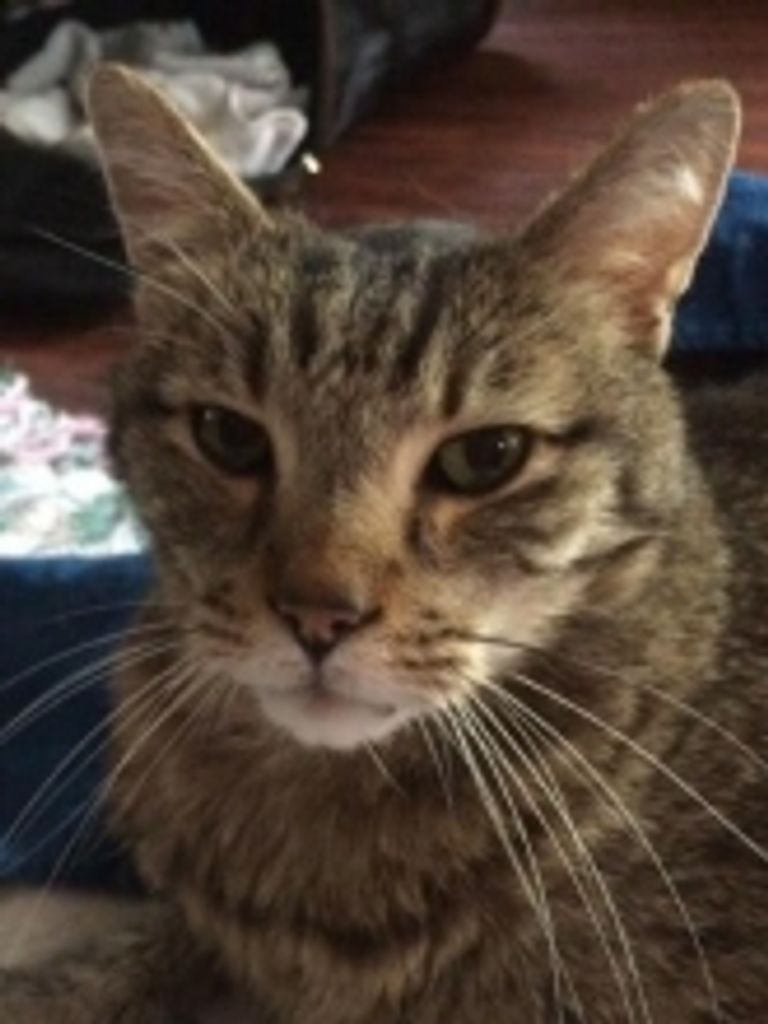 Fred Mines Profile Photo