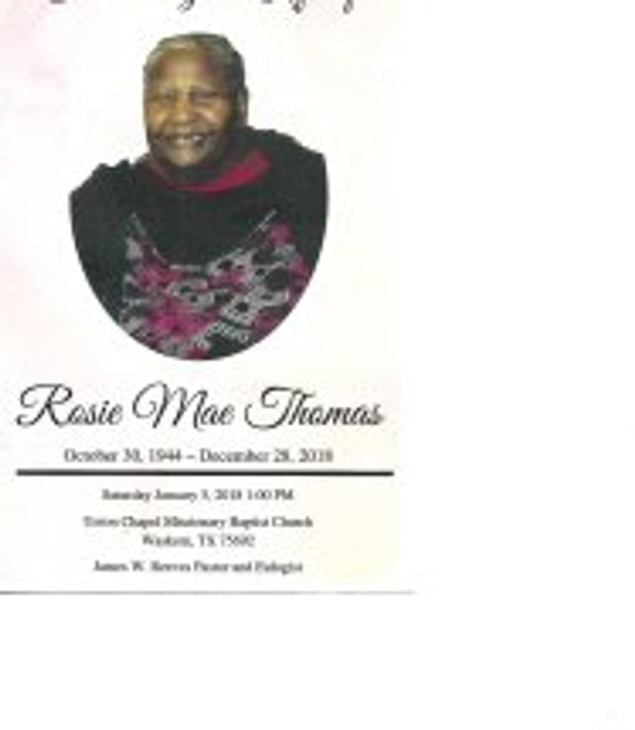 Rosie Thomas Profile Photo