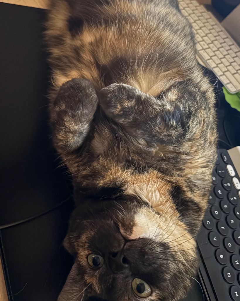 Cindy Profile Photo