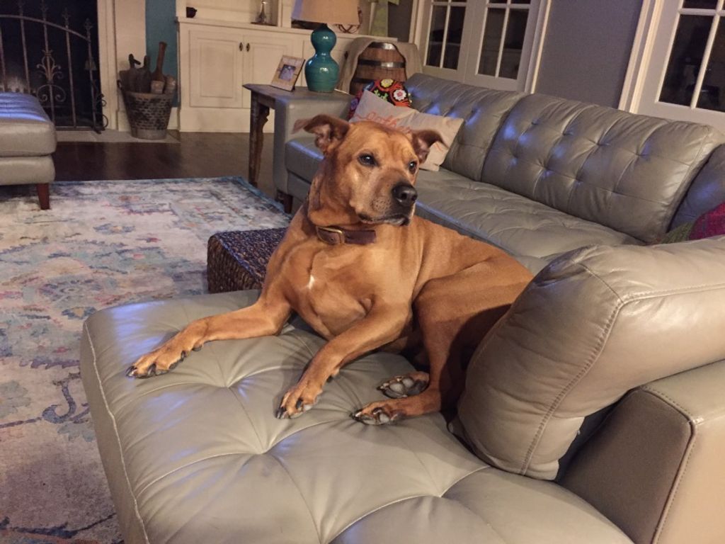 Boudreaux "Boo" Wilson