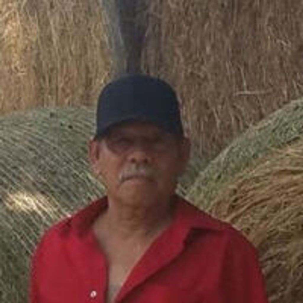 Natividad "Nati" Navarrette, Jr.