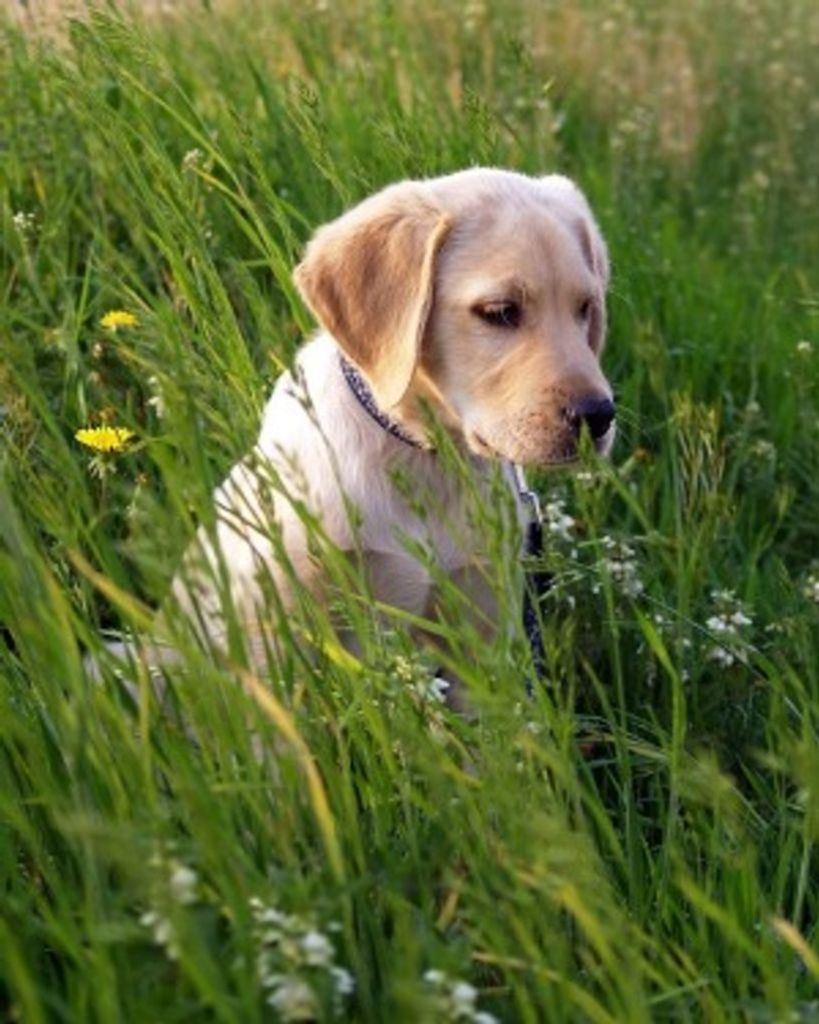 Barbara Buffington Profile Photo