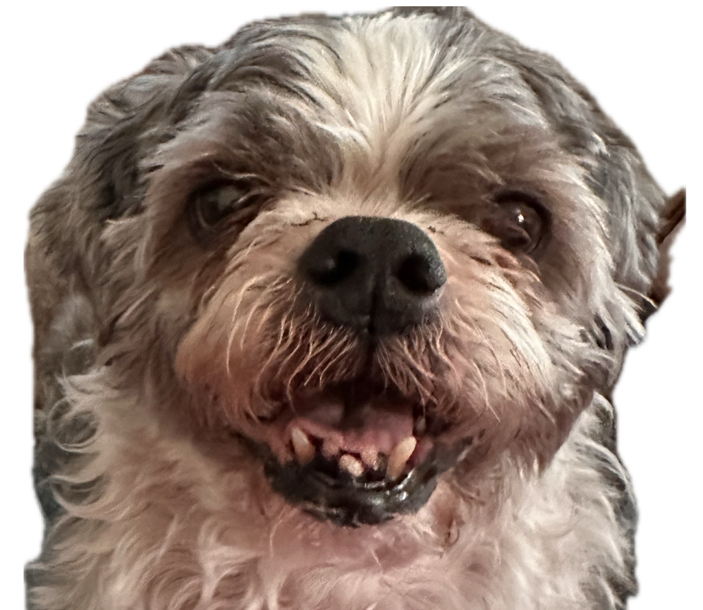 Smoke Thacker Profile Photo