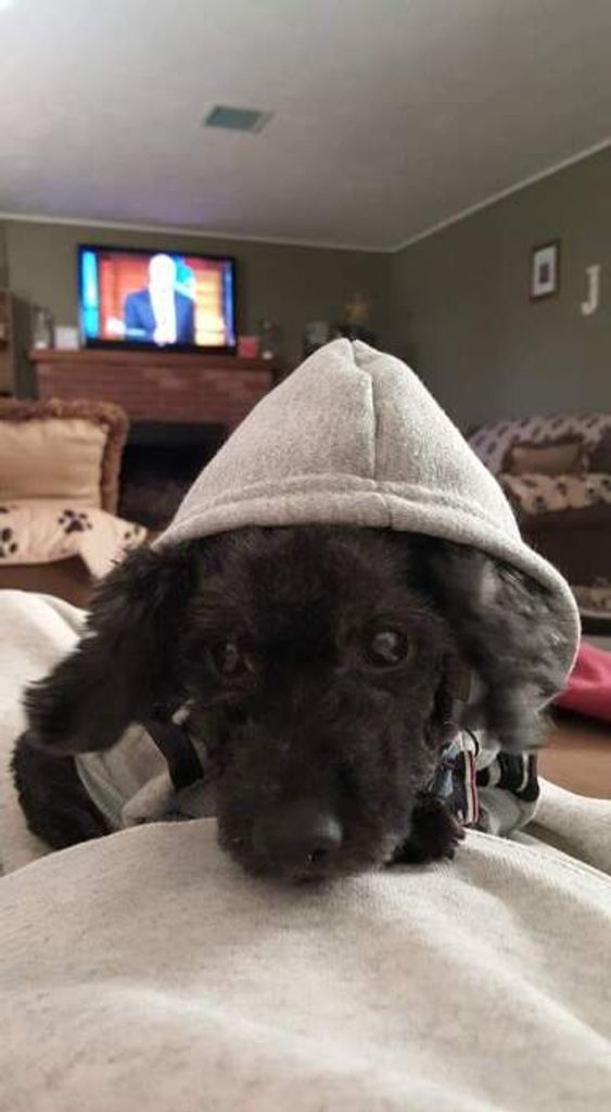 Charley Havnen Profile Photo