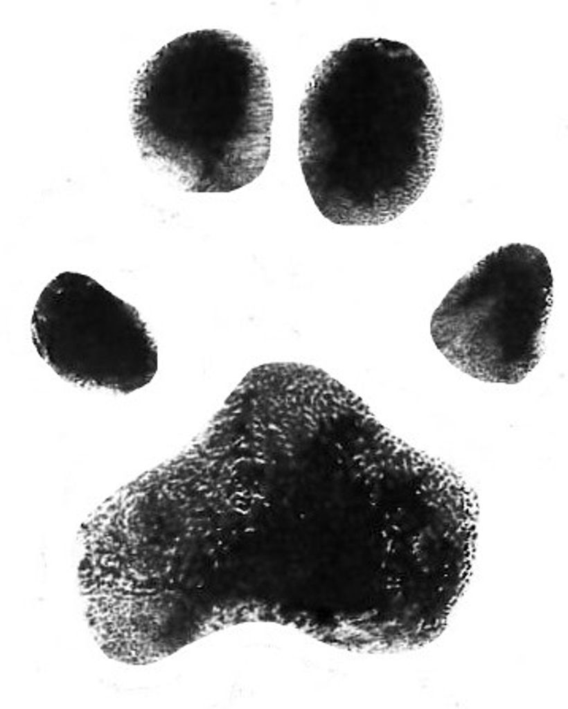 Penny Craig Profile Photo