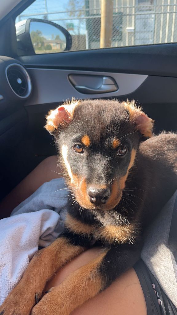 Zoe Profile Photo
