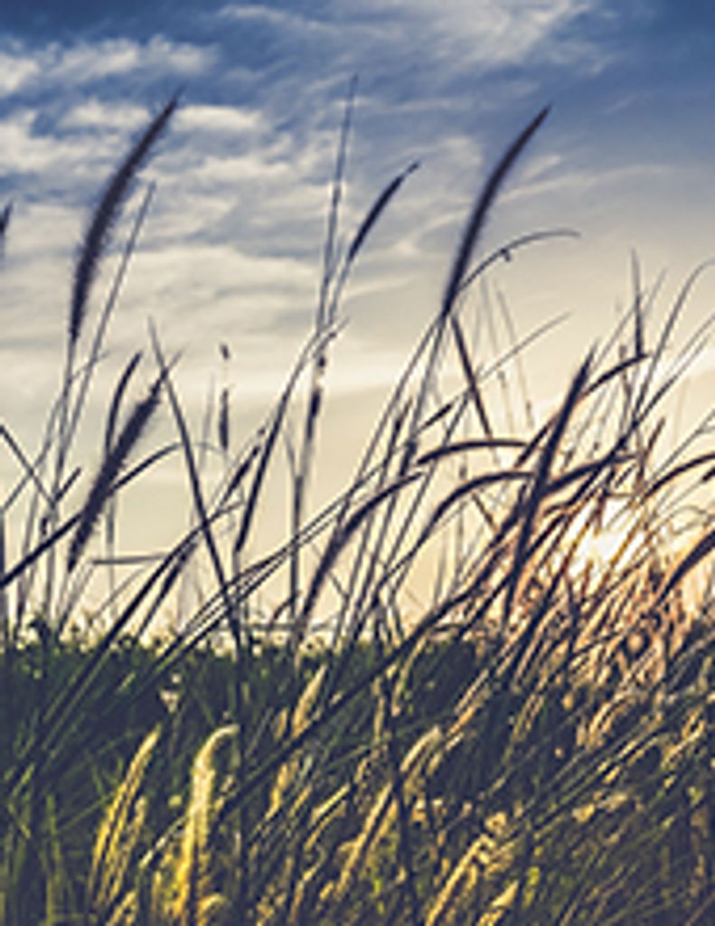 Frank Williams Profile Photo