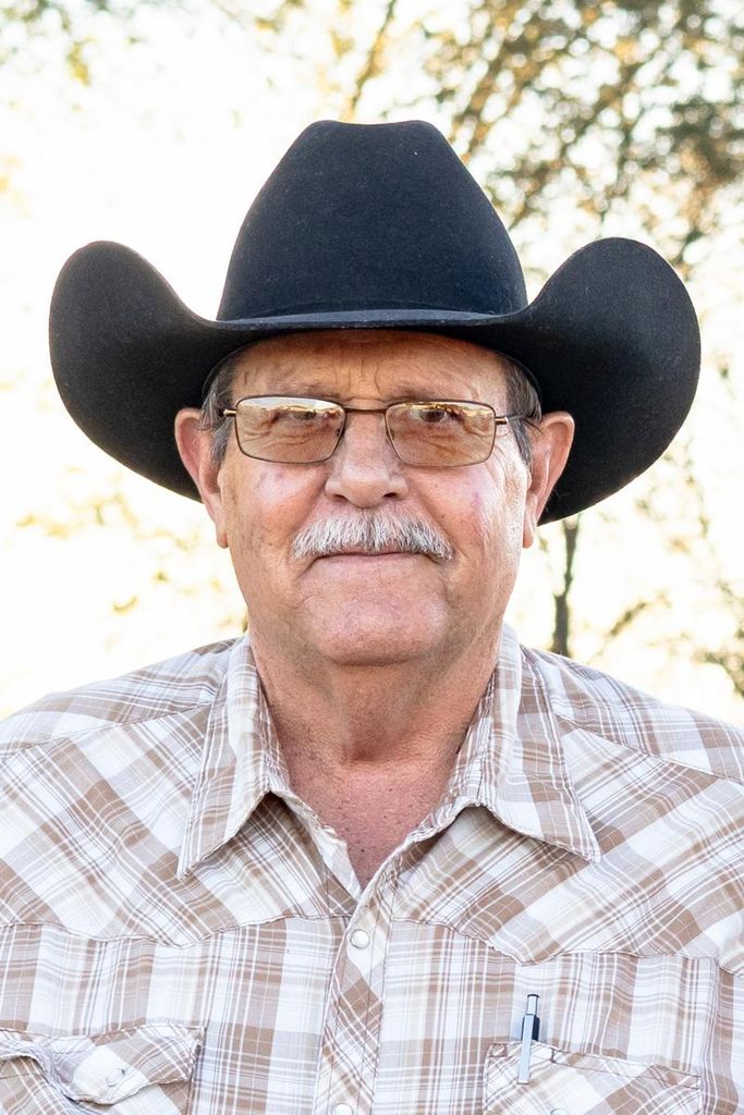 Robert D. Wilke Profile Photo