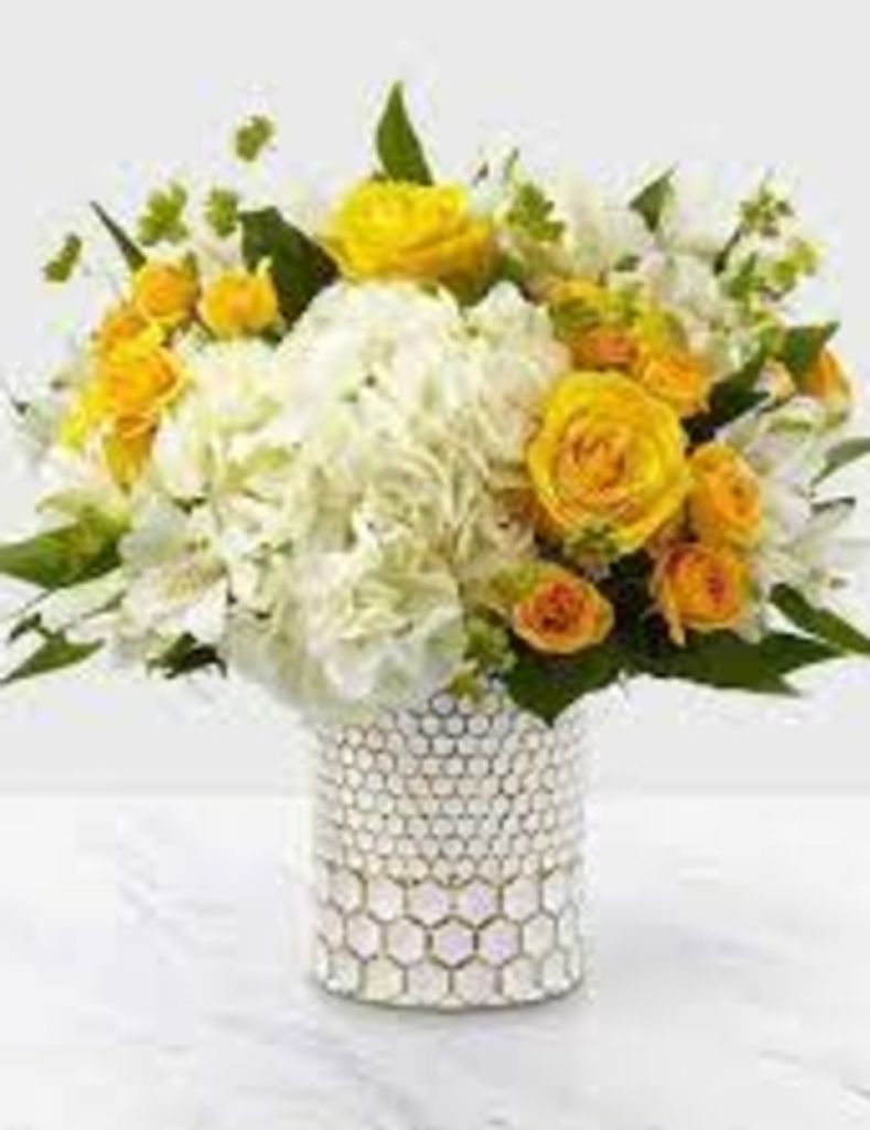 Shirley  Wise Scoggins