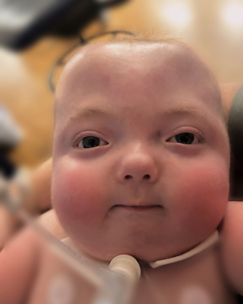 Brantley Jaxon Elms Profile Photo