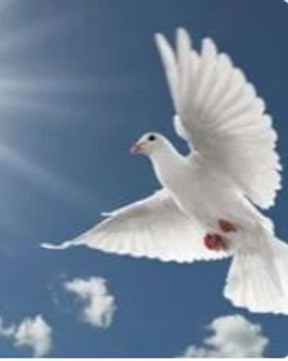 John Dale Wilson (71)'s obituary image