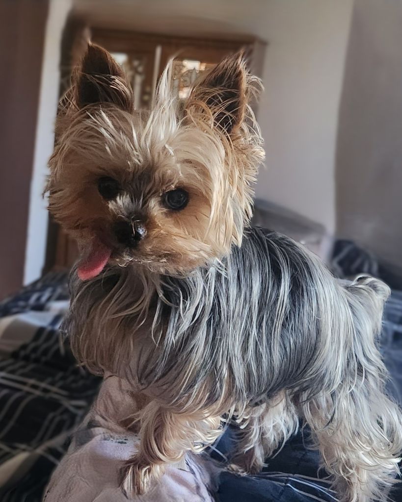 Toby Gillette Profile Photo