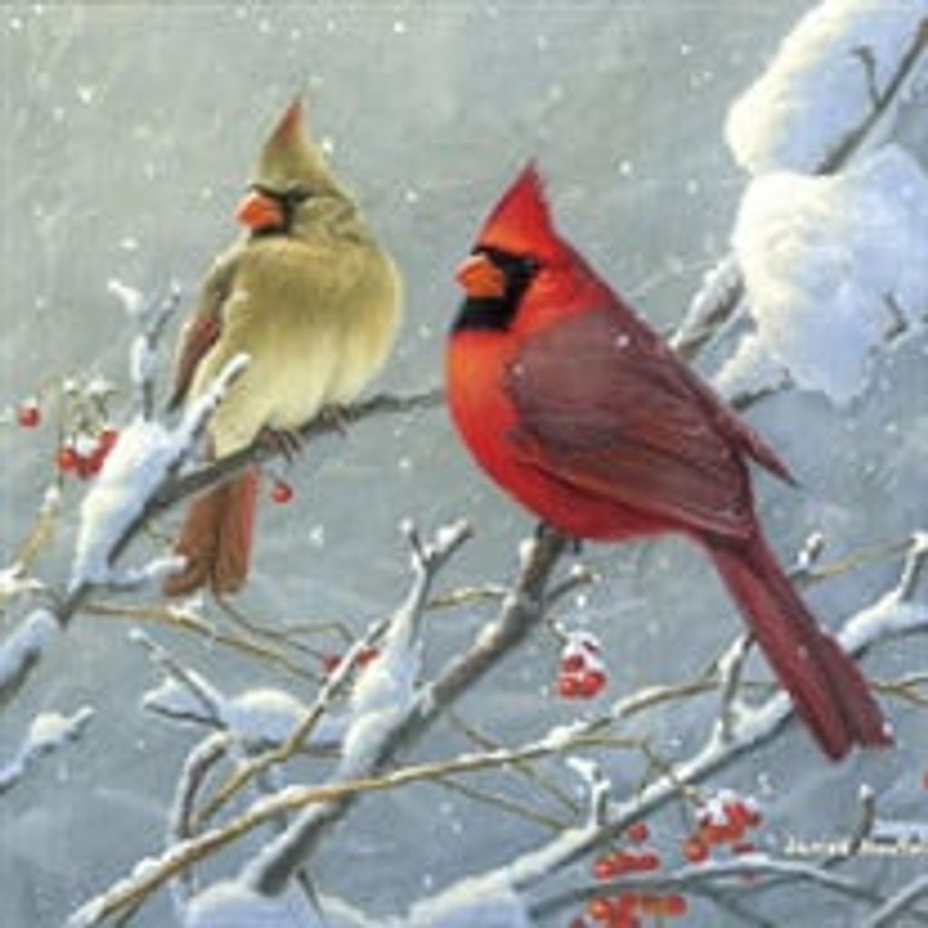 Caroline Gerald
