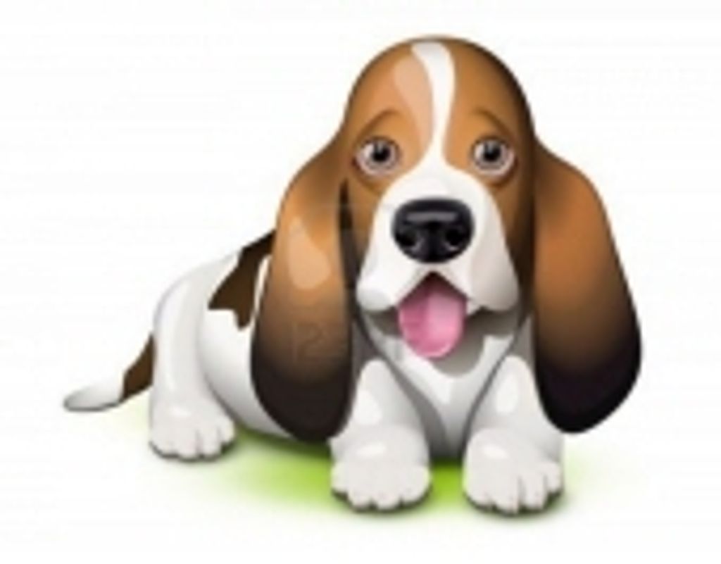 Elvis Lockhart Profile Photo