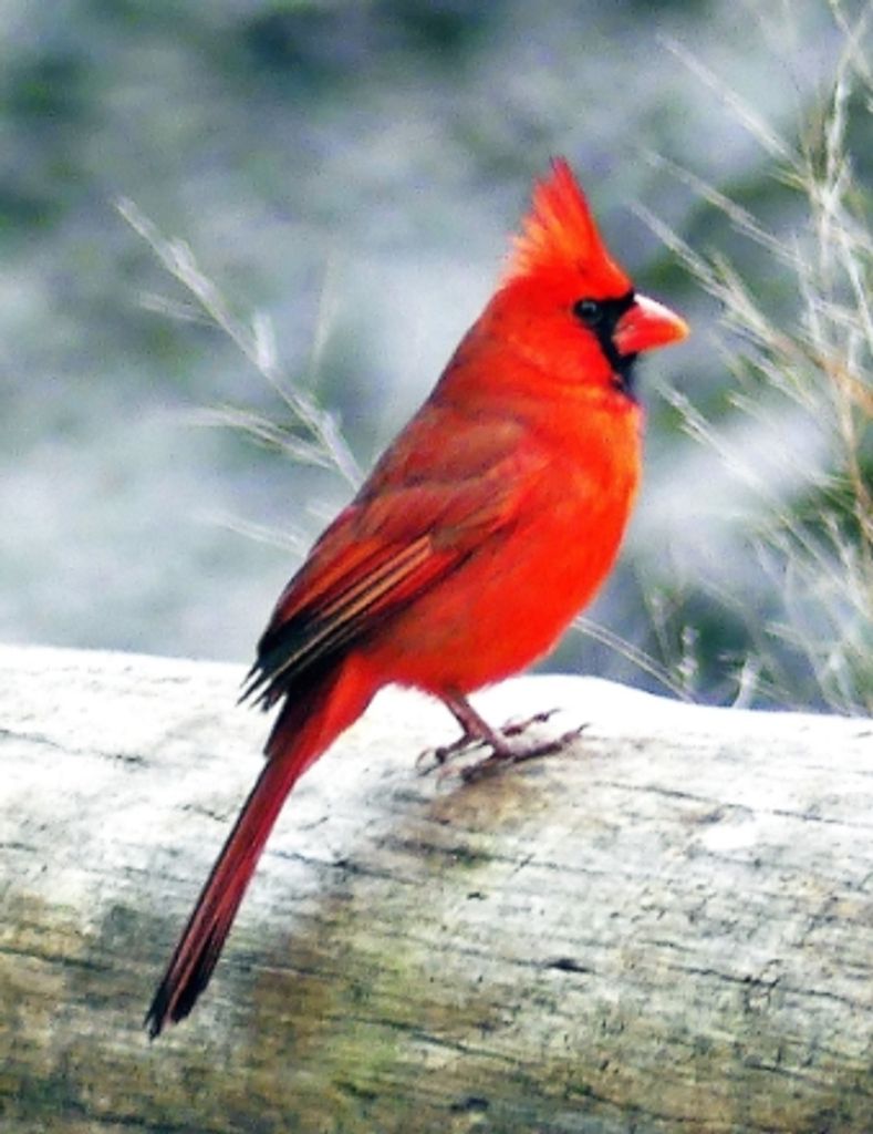 Nathan Eugene Deford Profile Photo
