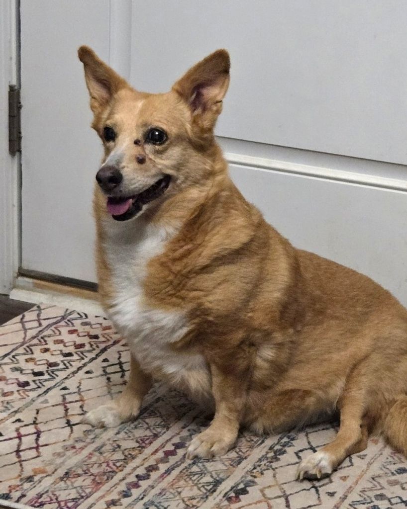 Daisy Brooks Profile Photo