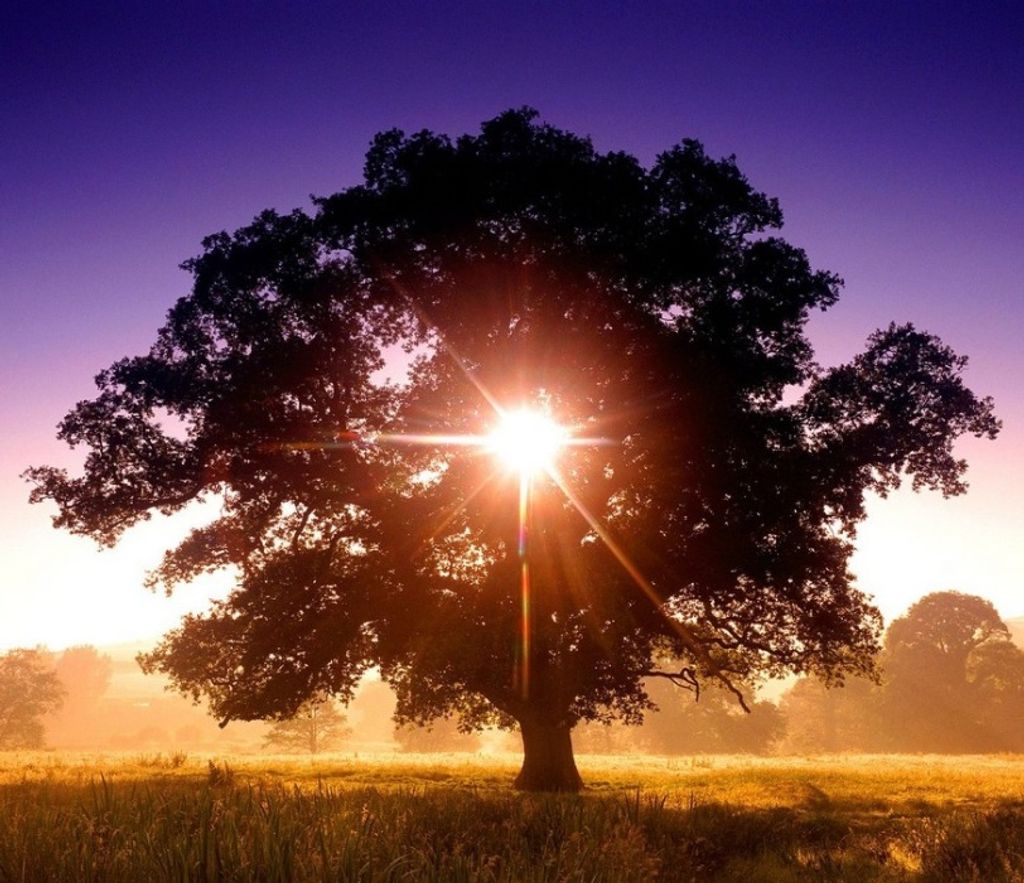 John P. Walsh Profile Photo