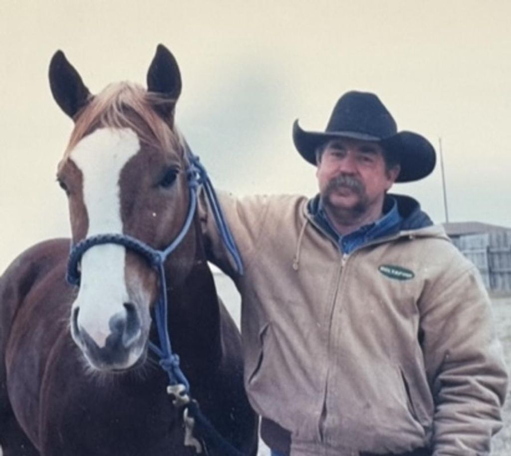 Dennis Mcdonald Profile Photo