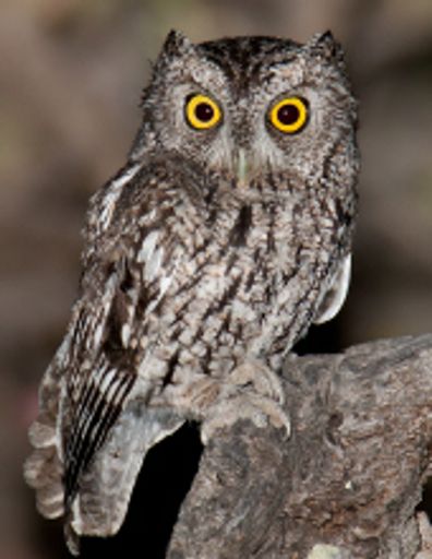 Patsy J. Kaleta Profile Photo