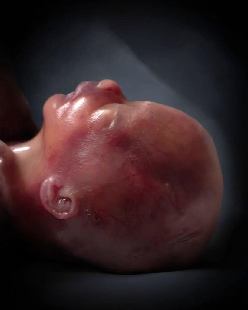 Leo Maxwell Klemm-Wilson