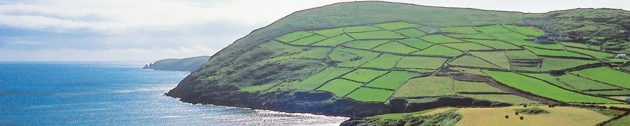 Cover for Claire Steiger's Obituary