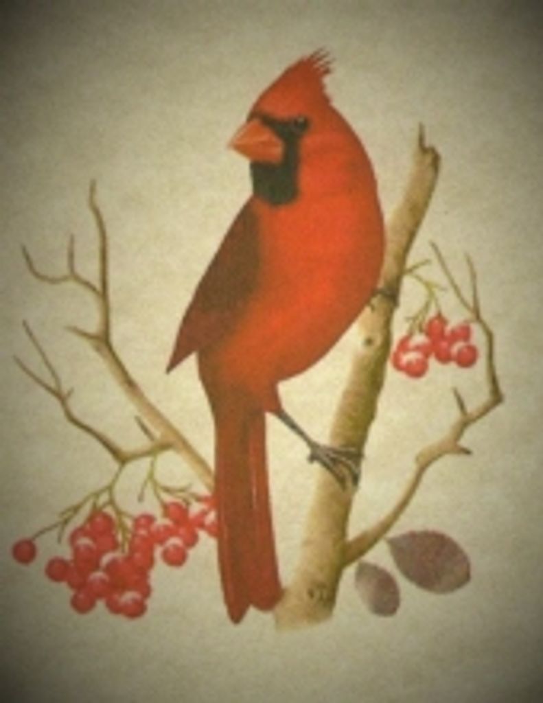 Janet  Marie Pierner