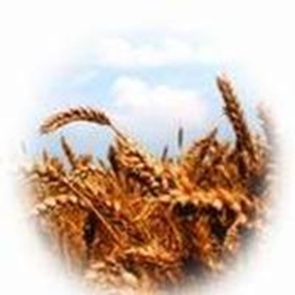 Roland Morrison Reeves