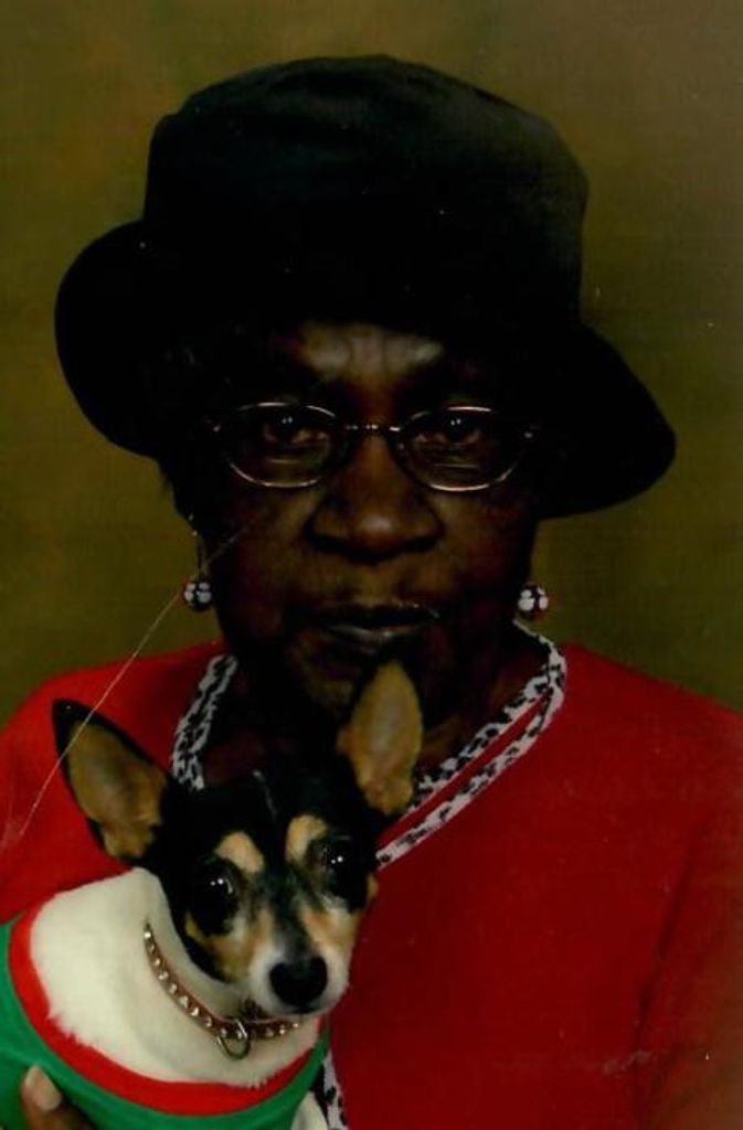 Casstellar (Deering)  Ellis