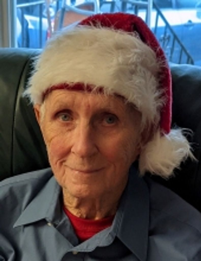 Wayne S.  Pilny