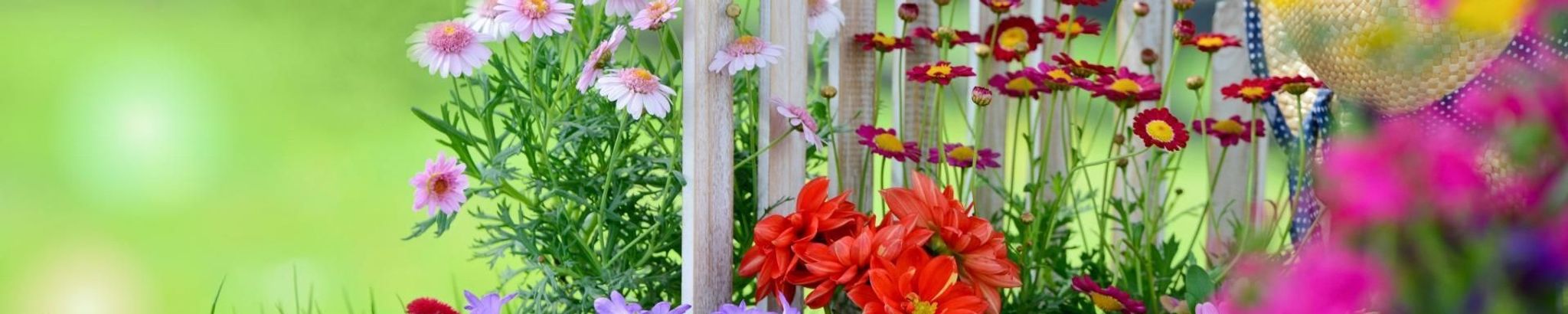 Cover photo for Margaret Ann Paget's Obituary