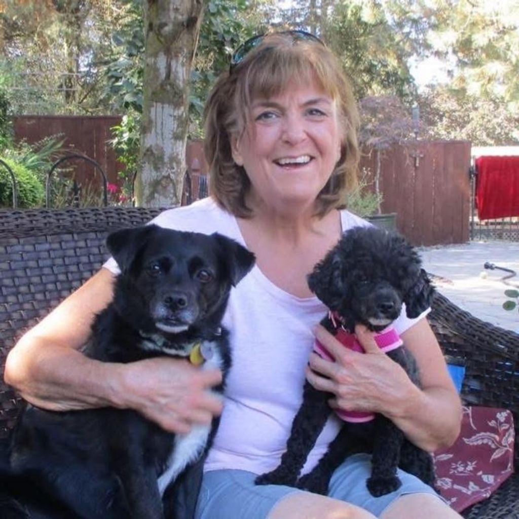 Susan Bloomfield Profile Photo