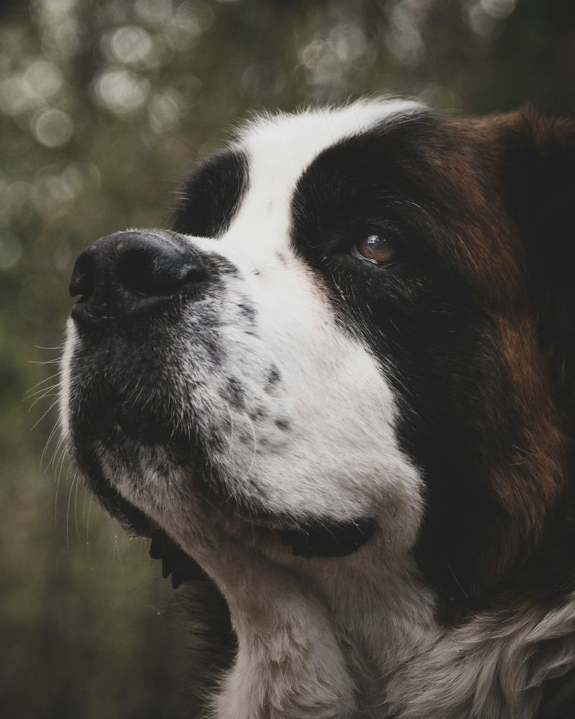 Peggy Urick Profile Photo