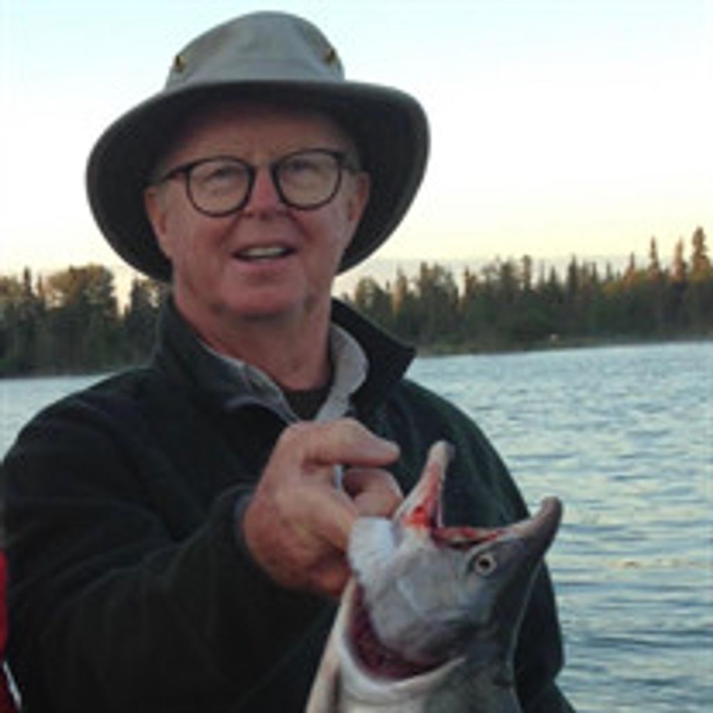 Steve N. Wilson