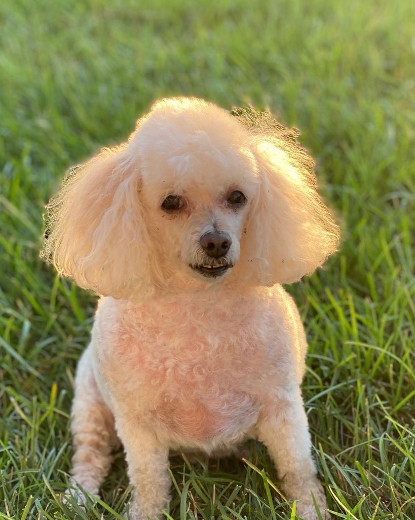 Boss "Bossenka" Nekhenzon Profile Photo