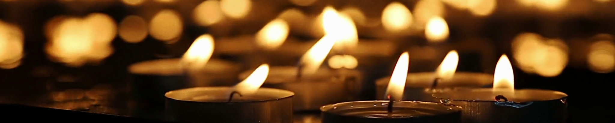 Cover photo for Latoya Williams's Obituary