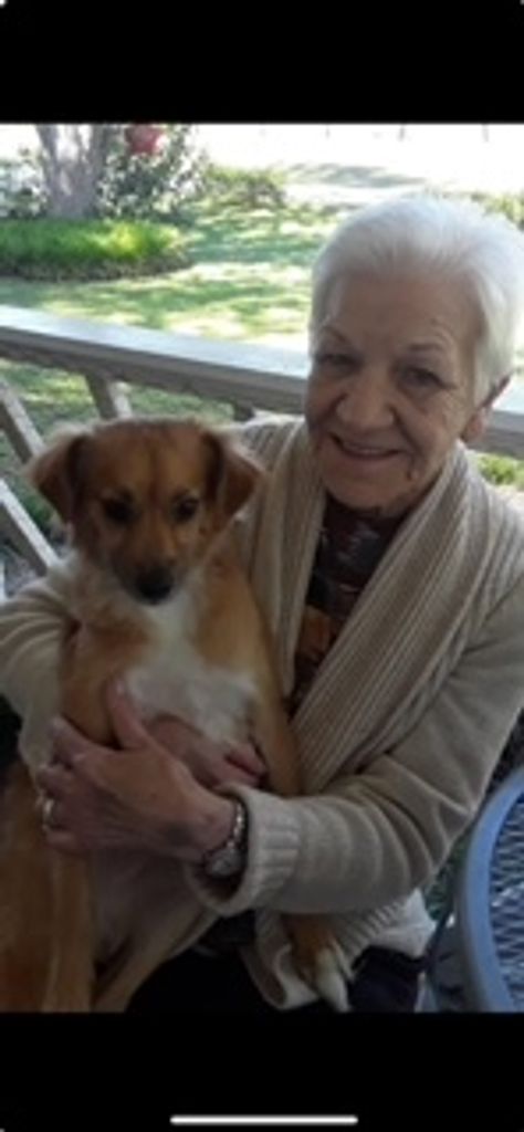 Gloria Jean (Kilgore)  Webb