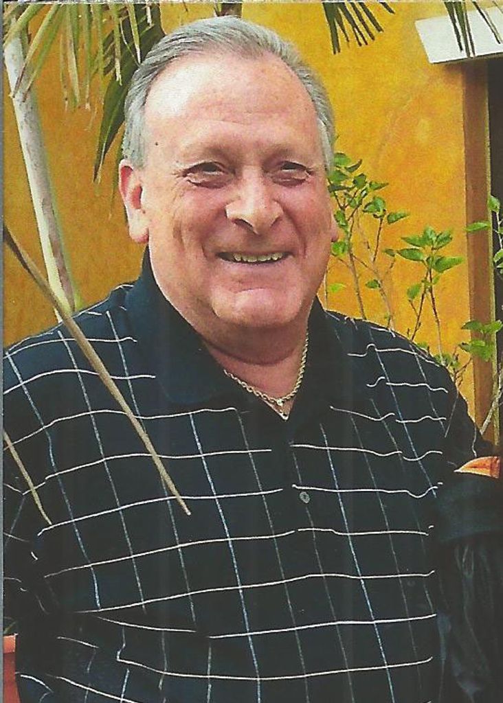 Louis J. Ferraioli