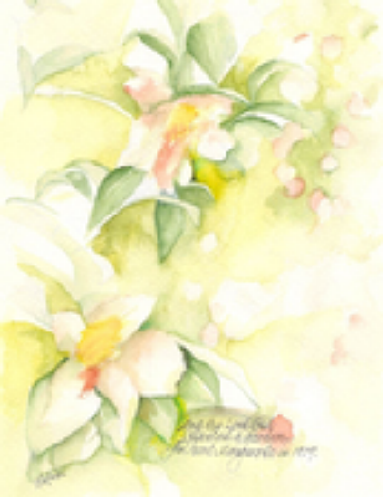 Marguerite  Flynn Blanchard