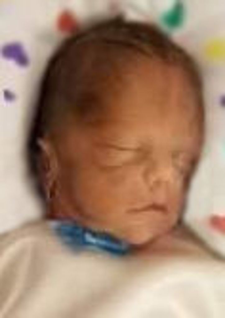 Stetson Alan Ditmore