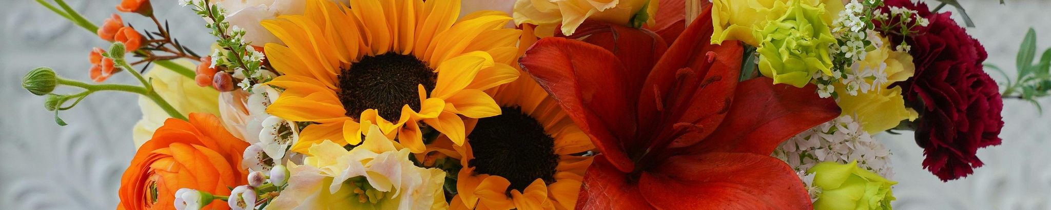 Cover photo for Jennifer Lynn Sole's Obituary