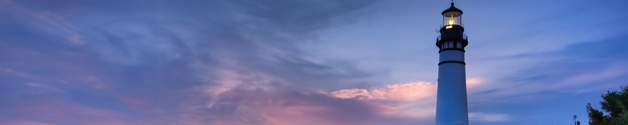 Cover for Tanya Lynn Dobbins's Obituary