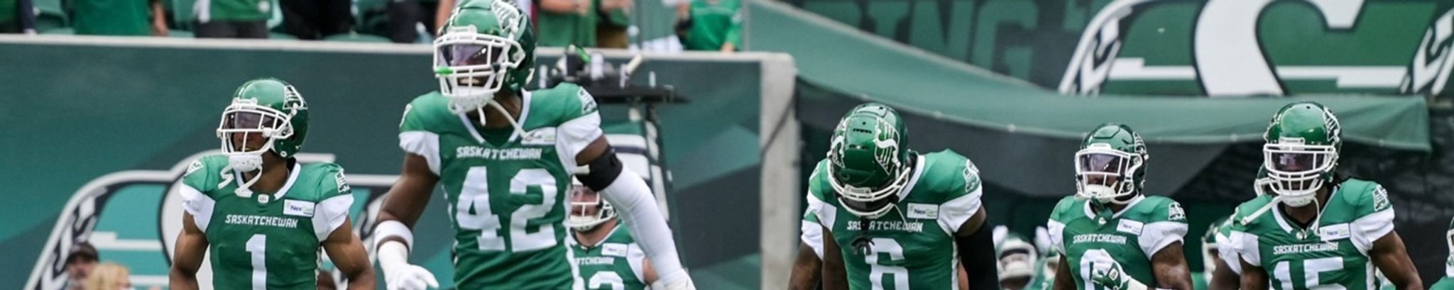 Cover for Raymond Senger's Obituary