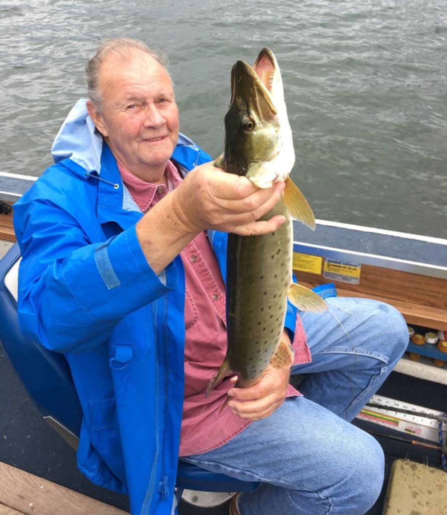 Dale Roger Lemmerman