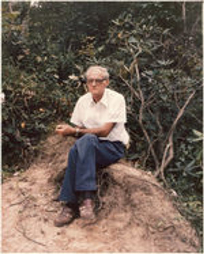 WILLIS "DICK" HENRY PERRY