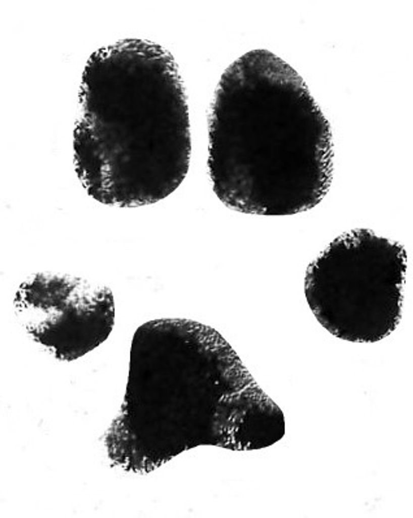 Bella Rood Profile Photo