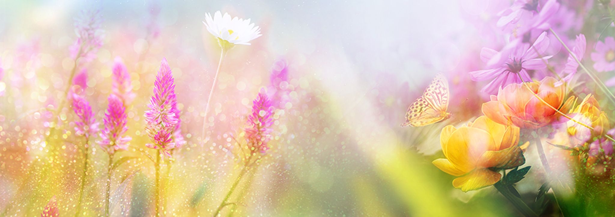 Cover photo for Michelle Mae Hamilton's Obituary