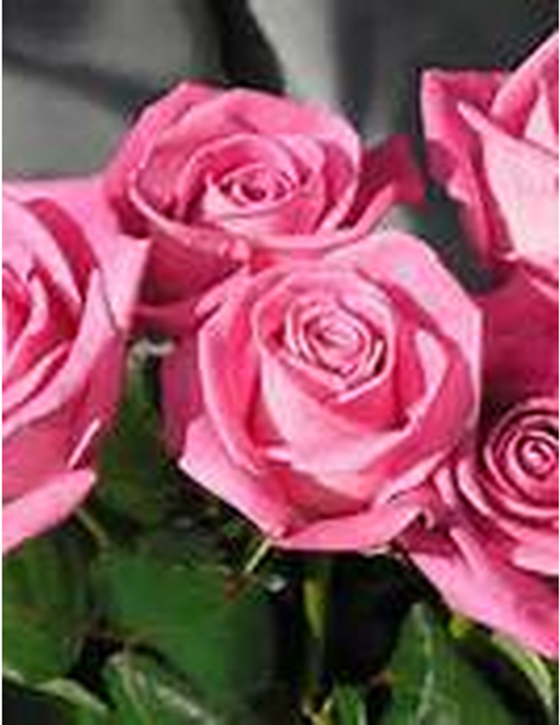 Marilyn J. (Goodman) Dailey Profile Photo