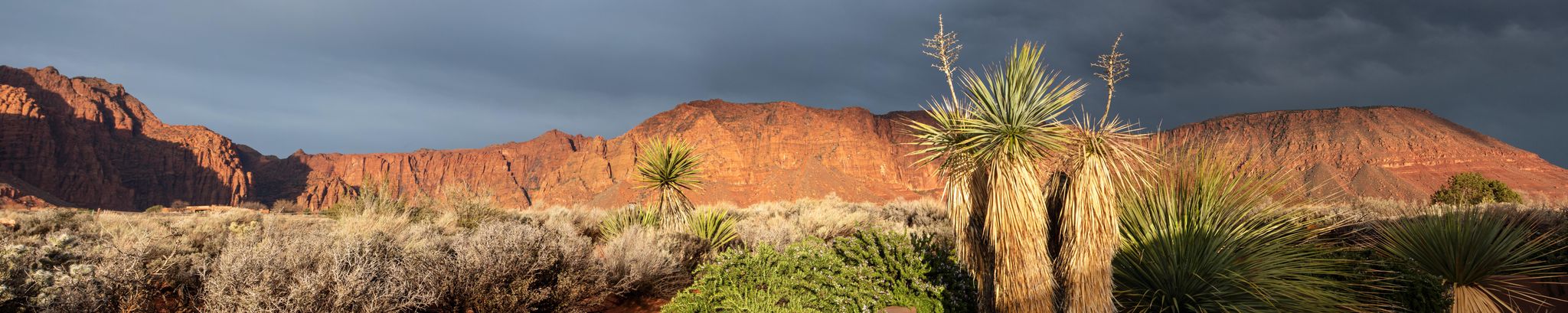 Cover for James R. "Jim" Cooper's Obituary