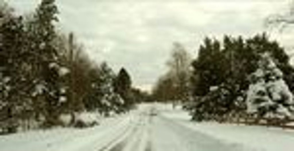 Gertrude E. Obernuefemann